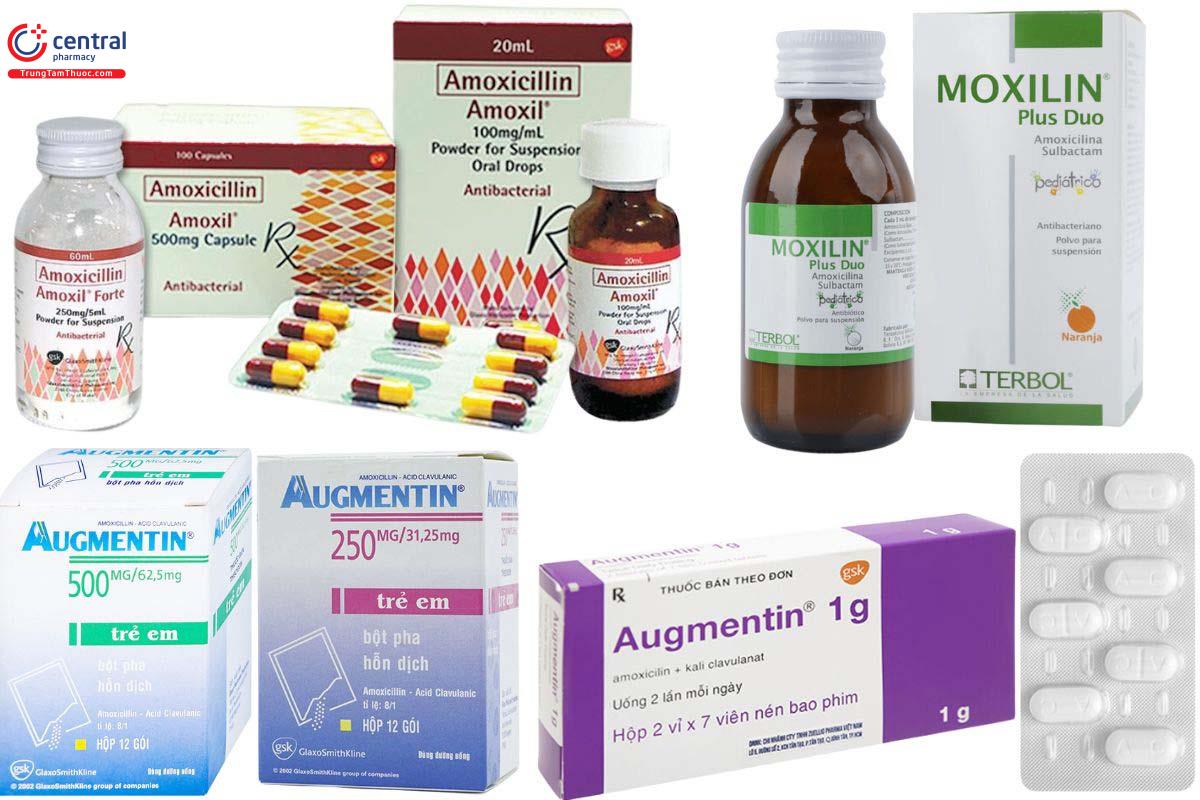 Các thuốc chứa Amoxicillin