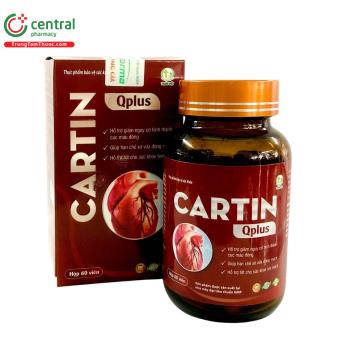 CarTin Qplus