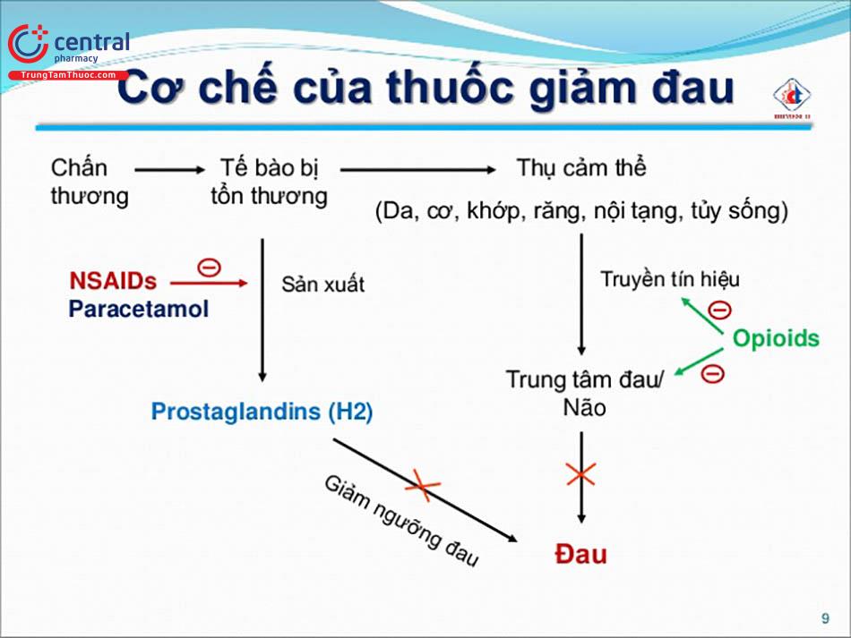  Cơ chế giảm đau của các thuốc NSAID