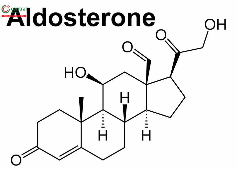Cấu trúc hoá học của Aldosteron