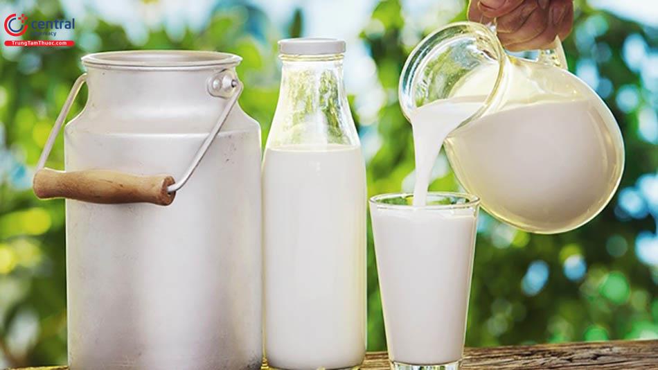 Lợi ích của sữa tươi