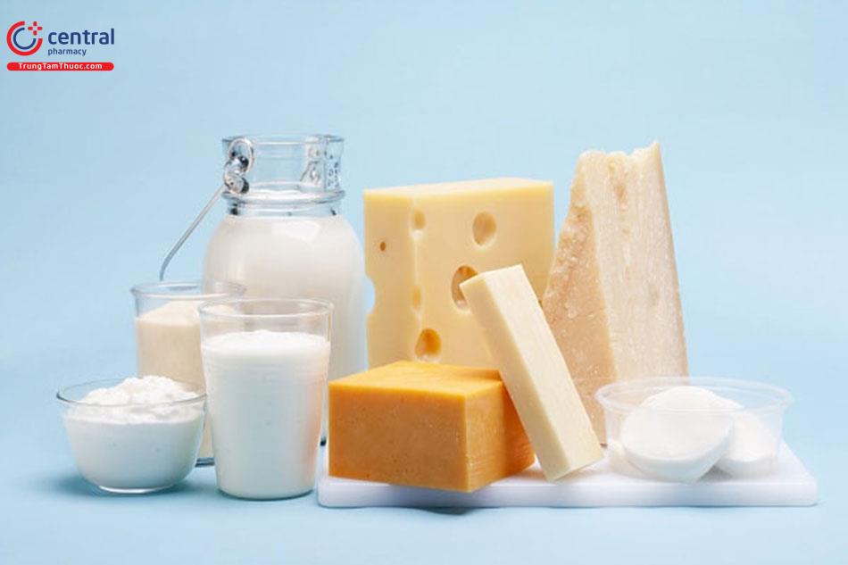 Các sản phẩm từ sữa đa dạng