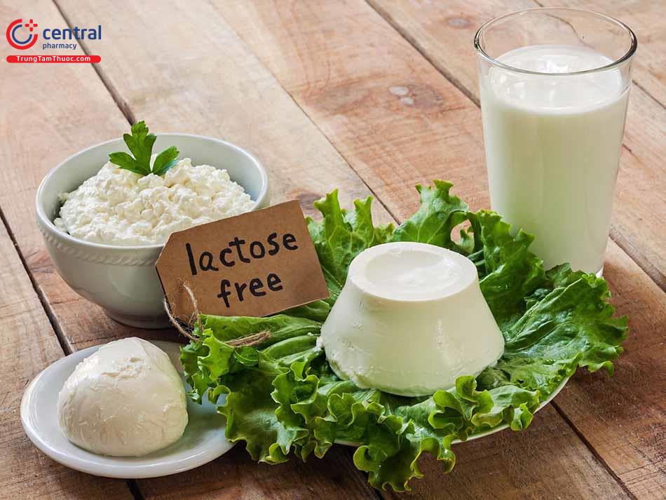 Sữa không đường Lactose
