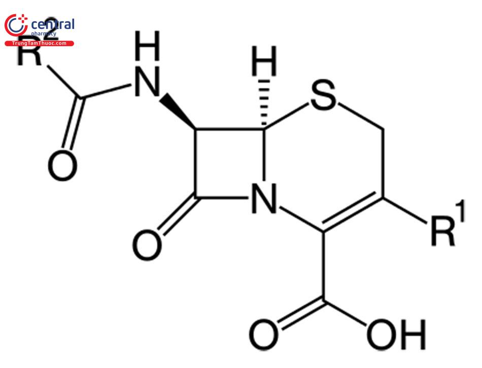 Cấu trúc hoá học nhóm kháng sinh Cephalosporin